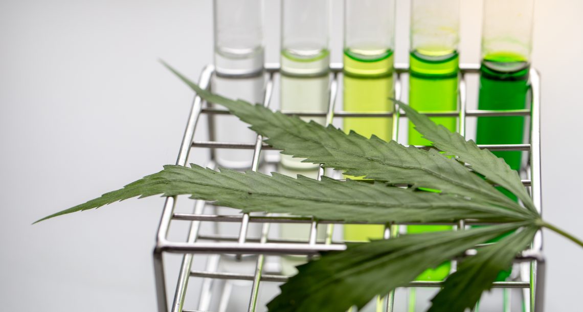 Scientific research on cannabis